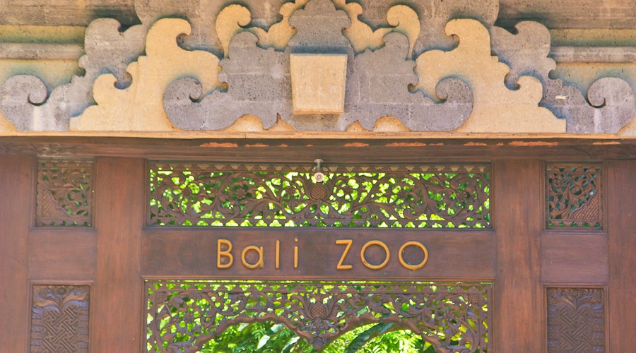 Зоопарк на о.Бали. Покормить тигра, подержать крокодила и посадить себе на шею бинтуронга)